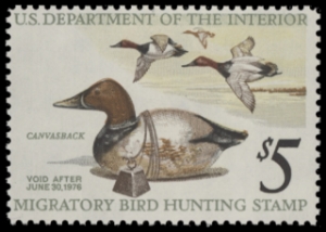 Scan of RW42 1975 Duck Stamp  MNH F-VF