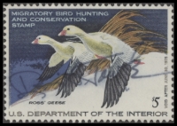 Scan of RW44 1977 Duck Stamp  Used F-VF