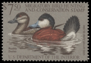 Scan of RW48 1981 Duck Stamp  Unsigned F-VF