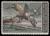 Scan of RW49 1982 Duck Stamp  Used F-VF