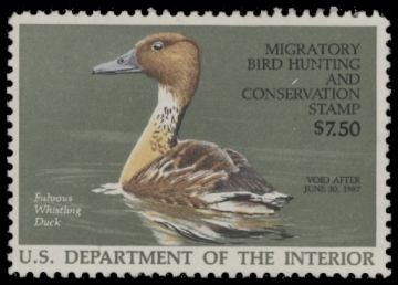 Scan of RW53 1986 Duck Stamp  Unsigned F-VF