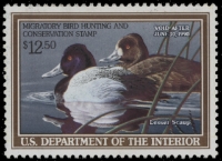 Scan of RW56 1989 Duck Stamp  Unsigned F-VF