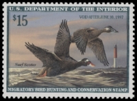 Scan of RW63 1996 Duck Stamp  MNH F-VF