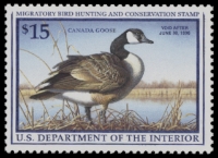 Scan of RW64 1997 Duck Stamp  MNH F-VF