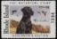 Scan of 1991 Rhode Island Duck Stamp Governor's Edition MNH VF