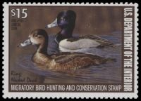 Scan of RW74 2007 Duck Stamp  MNH F-VF