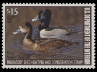 Scan of RW74 2007 Duck Stamp  MNH VF