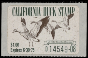 Scan of 1974 California Duck Stamp MNH VF