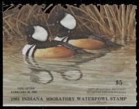 Scan of 1981 Indiana Duck Stamp MNH VF
