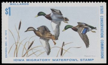 Picture of 1972 Iowa Duck Stamp - First of State MNH VF