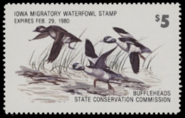 Scan of 1979 Iowa Duck Stamp MNH VF