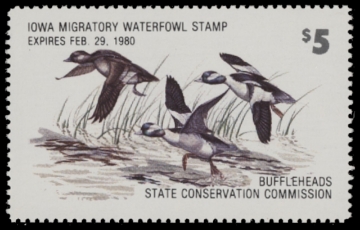 Scan of 1979 Iowa Duck Stamp MNH VF