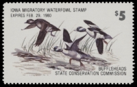 Scan of 1979 Iowa Duck Stamp Used VF