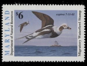 Scan of 2000 Maryland Duck Stamp MNH VF