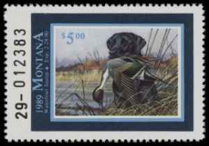 Scan of 1989 Montana Duck Stamp MNH VF