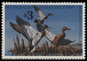 Scan of 1977 Minnesota Duck Stamp - First of State MNH VF