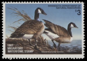 Scan of 1981 Minnesota Duck Stamp MNH VF