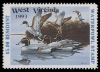 Scan of 1993 West Virginia Duck Stamp MNH VF