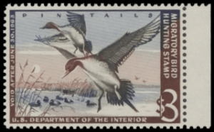 Scan of RW29 1962 Duck Stamp  MLH F-VF