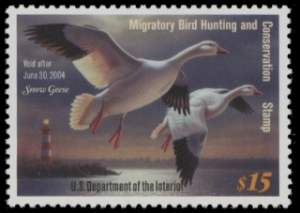 Scan of RW70 2003 Duck Stamp  MNH F-VF