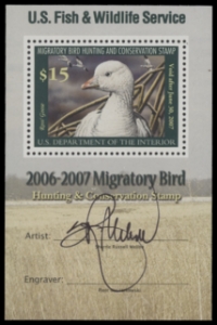 Scan of RW73B 2006 Duck Stamp  MNH F-VF