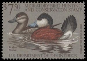 Scan of RW48 1981 Duck Stamp  Unsigned F-VF