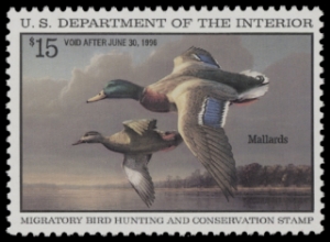 Scan of RW62 1995 Duck Stamp  MNH F-VF