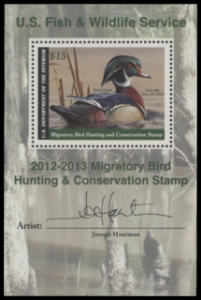 Scan of RW79B 2012 Duck Stamp  MNH F-VF