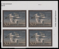 Scan of RW90 2023 Duck Stamp  MNH VF