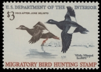 Scan of RW36 1969 Duck Stamp  MNH F-VF