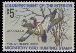 Scan of RW41 1974 Duck Stamp  MNH F-VF