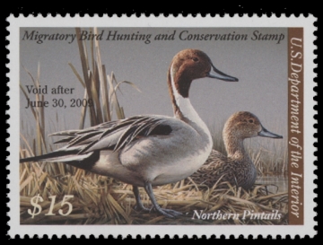 Picture of RW75 2008 Duck Stamp  MNH XF