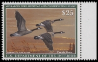 Scan of RW84 2017 Duck Stamp  MNH F-VF