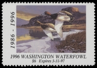Scan of 1996 Washington Duck Stamp MNH VF