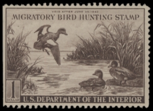 Scan of RW9 1942 Duck Stamp  Unsigned F-VF