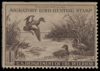 Scan of RW9 1942 Duck Stamp  Unused F-VF