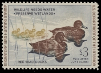 Scan of RW27 1960 Duck Stamp  MNH F-VF