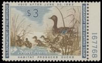Scan of RW28 1966 Duck Stamp  MNH F-VF