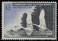 Scan of RW33 1966 Duck Stamp  Unsigned F-VF