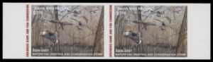 Scan of 2006 Arkansas Duck Stamp MNH VF