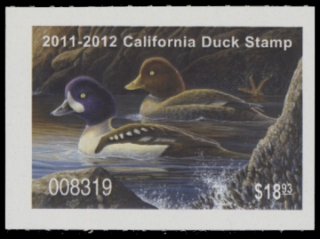 Picture of 2011 California Duck Stamp MNH VF