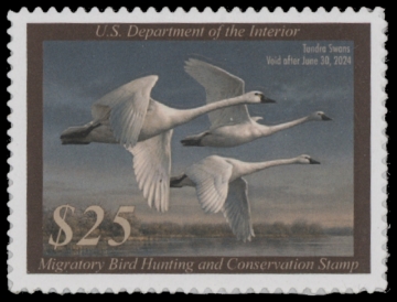 Picture of RW90 2023 Duck Stamp