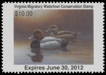 Picture of 2011 Virginia Duck Stamp