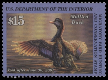 Picture of RW67 2000 Duck Stamp. Unsigned.