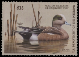 Scan of RW77 2010 Duck Stamp. MNH F-VF