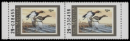 Scan of 1999 Montana Duck Stamp