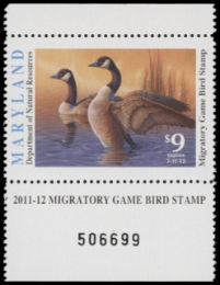 Scan of 2011 Maryland Duck Stamp