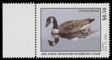 Scan of 2005 Maine Duck Stamp