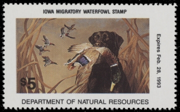 Picture of 1992 Iowa Duck Stamp