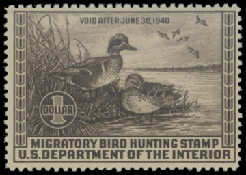 Scan of RW6 1939 Duck Stamp MNH 